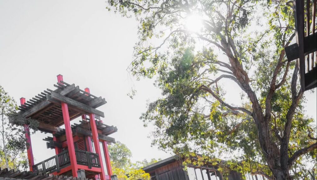 S650 Ford Mustang by Pandem (9)