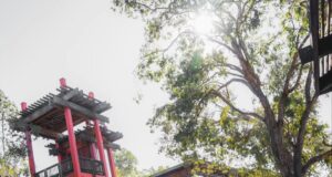 S650 Ford Mustang by Pandem (9)