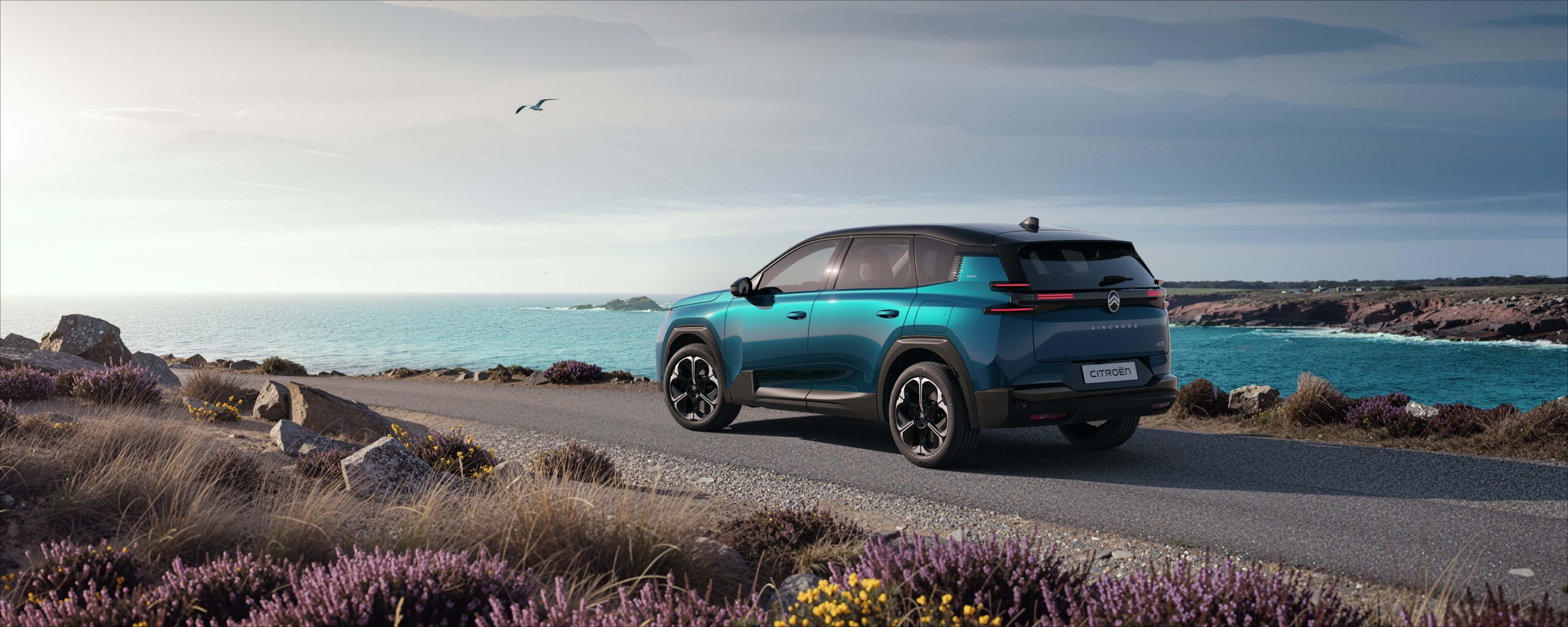 Citroën C5 Aircross Émeraude (8)